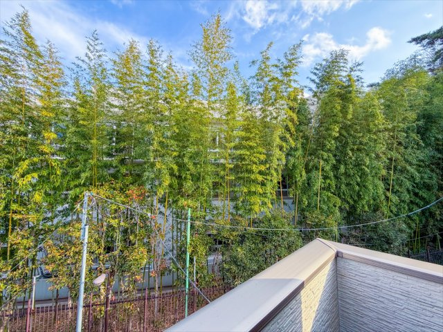 本物件より東側の眺望となっております。緑が多いのは落ち着きます。