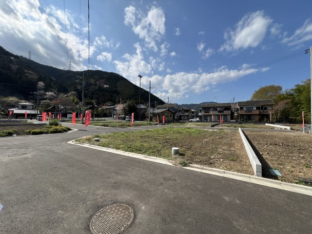 現地写真