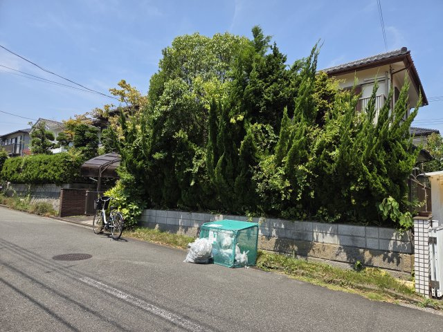 外観：314002451051