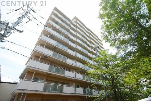 鉄骨鉄筋コンクリート造11階建て