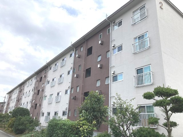 外観：314002388223