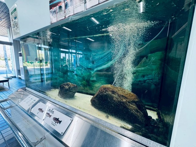 多摩川ふれあい水族館