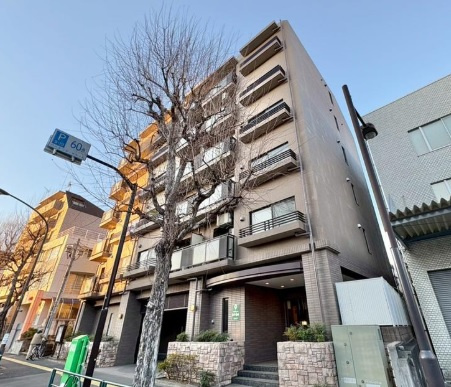 外観：313004698981