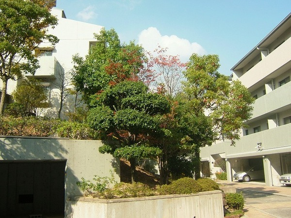 外観：328000553521