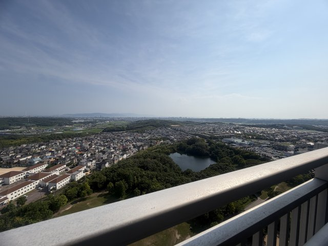 展望