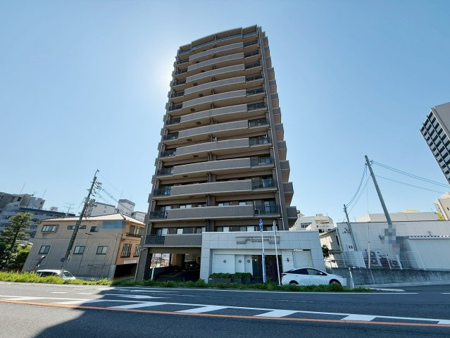 外観：334000244193