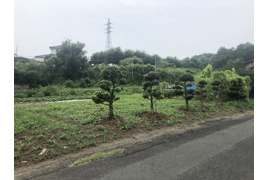 玉名市岱明町西照寺の土地の外観