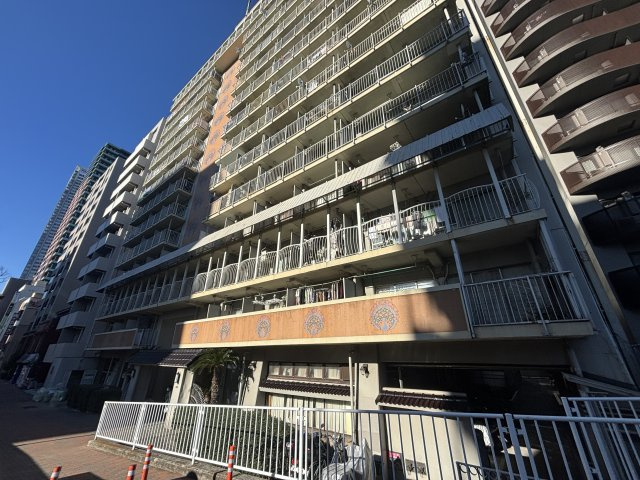 外観：313004540492