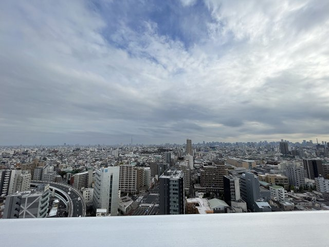 前面棟無しで南東向きのバルコニーは、陽当たり・通風・眺望良好です。　
