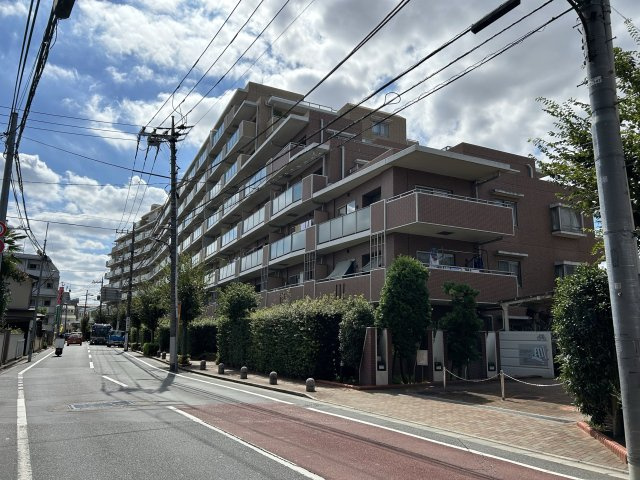 外観：313004461813