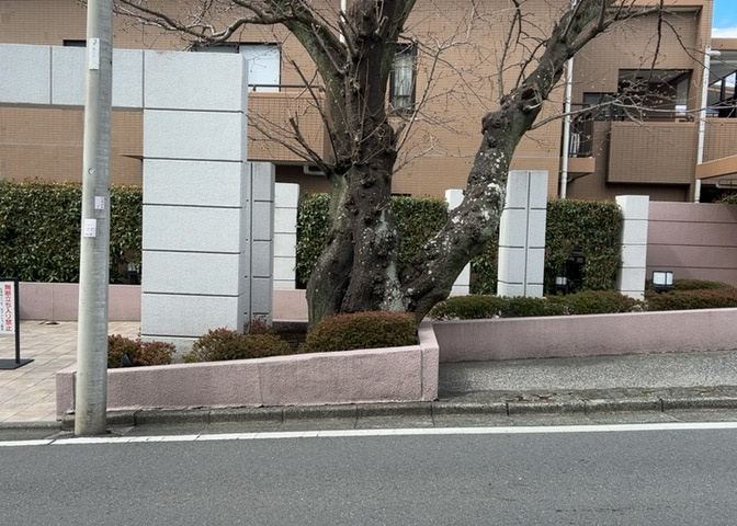 物件によっては、入居者が個人的に使用できる専用庭がついているものもあります。また、住宅の中にある土間の部分を庭と呼ぶこともあります。庭の用途は住む人によって変わり、それによってデザインもさまざまです。