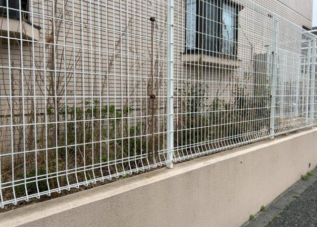 中庭（パティオ）とは、一つの建築物の内部に設けられた、壁などで囲われている庭のことを指します。コの字型、ロの字型が主流ですが、L字型の中庭もあります。最近では、インテリア性の高さからも人気があります。