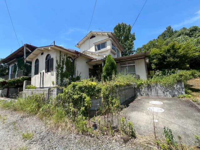 外観：334000237872