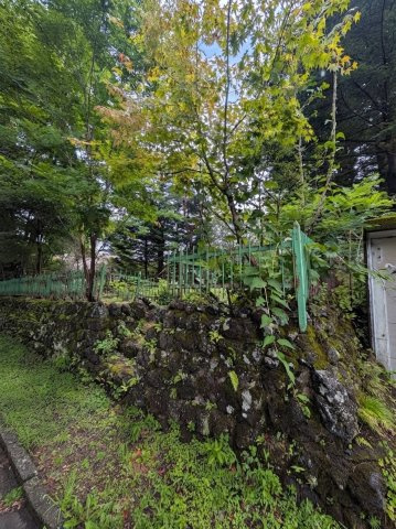 風情ある石垣が趣を添える、趣深いアプローチ周辺です。