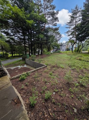 敷地内から空を見仰ぐ、開放感と緑に包まれた住環境です