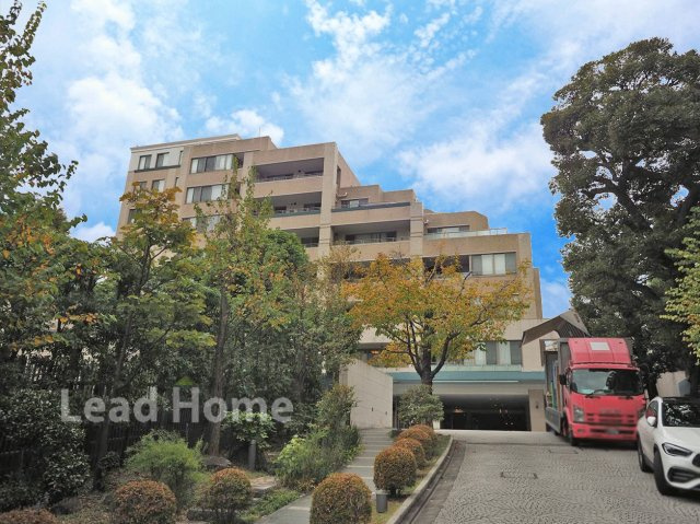 外観：313004684298