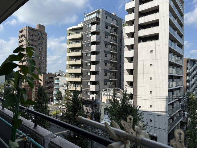 展望