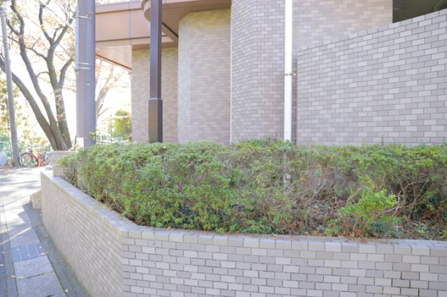 庭