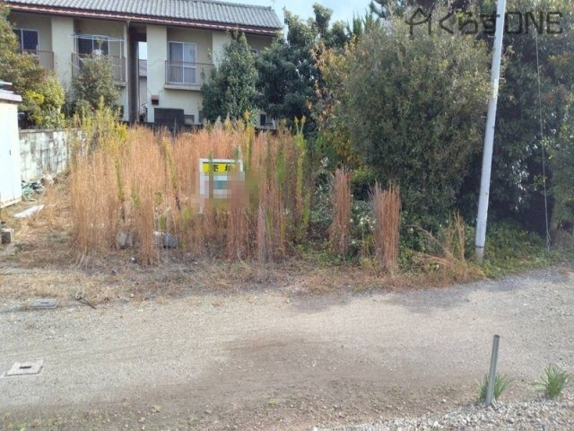 外観：328000548703