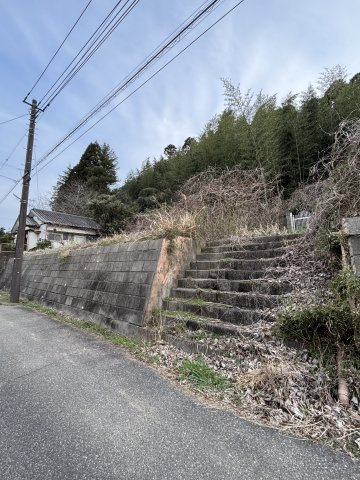 外観：312001215376