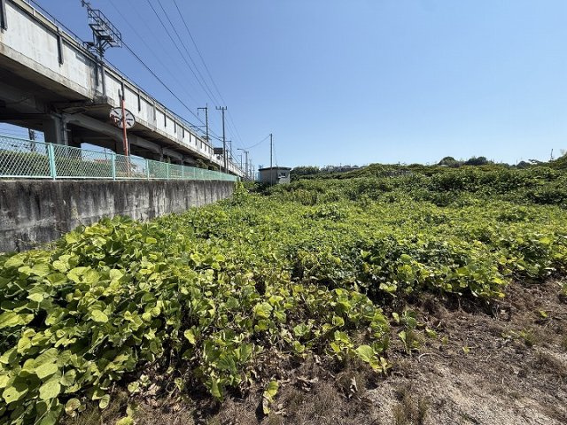 外観：334000261602