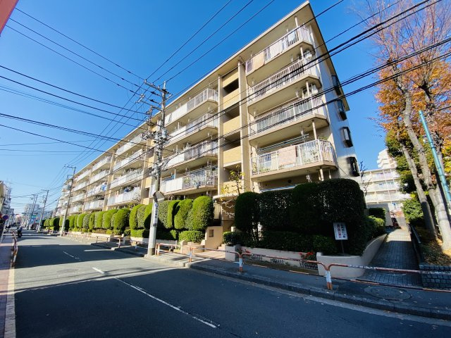 外観：313004562146