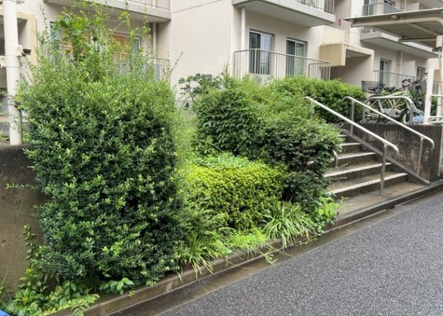 中庭（パティオ）とは、一つの建築物の内部に設けられた、壁などで囲われている庭のことを指します。コの字型、ロの字型が主流ですが、L字型の中庭もあります。最近では、インテリア性の高さからも人気があります。