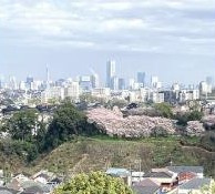 東側眺望