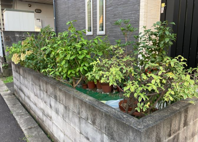 庭があることでガーデニングや家庭菜園はもちろん、こどもの遊び場やペットを放して遊ぶことができます。また、家の周囲に余裕があるということです。隣地との間があれば、十分な日当たりと、風通しが確保できます。