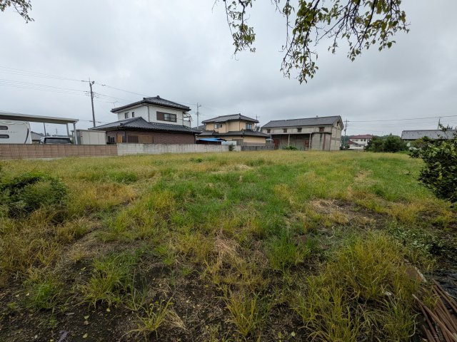 展望