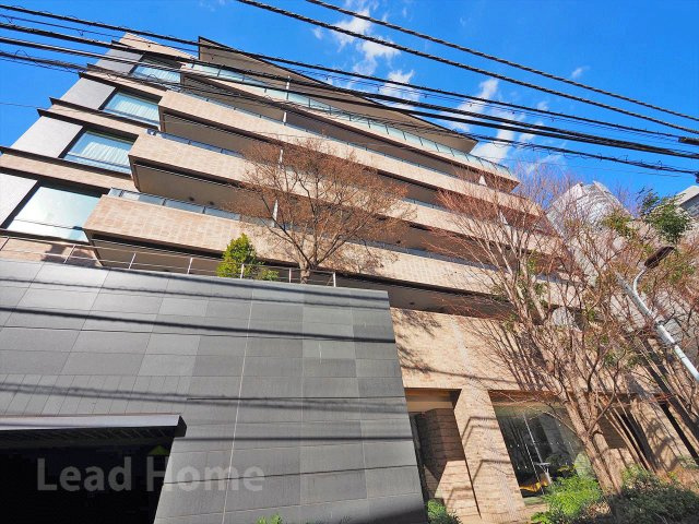 外観：313004684415