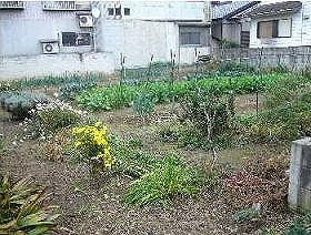 外観：311002097517