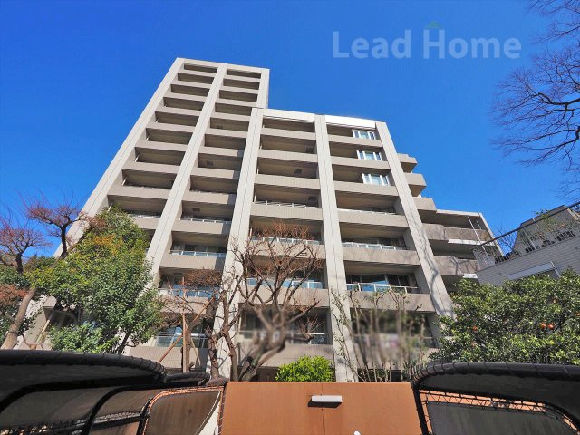 外観：313004688918