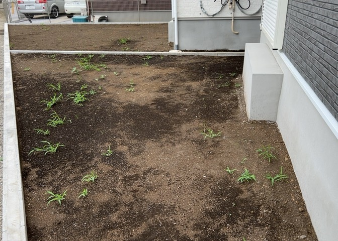 庭があることでガーデニングや家庭菜園はもちろん、こどもの遊び場やペットを放して遊ぶことができます。また、家の周囲に余裕があるということです。隣地との間があれば、十分な日当たりと、風通しが確保できます。