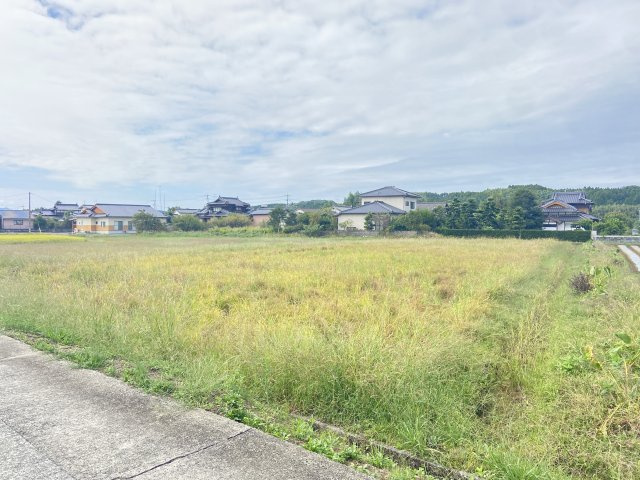 外観：343000087098