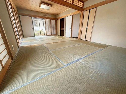 室内（2026年5月）撮影