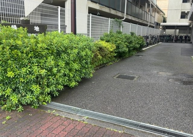 物件によっては、入居者が個人的に使用できる専用庭がついているものもあります。また、住宅の中にある土間の部分を庭と呼ぶこともあります。庭の用途は住む人によって変わり、それによってデザインもさまざまです。