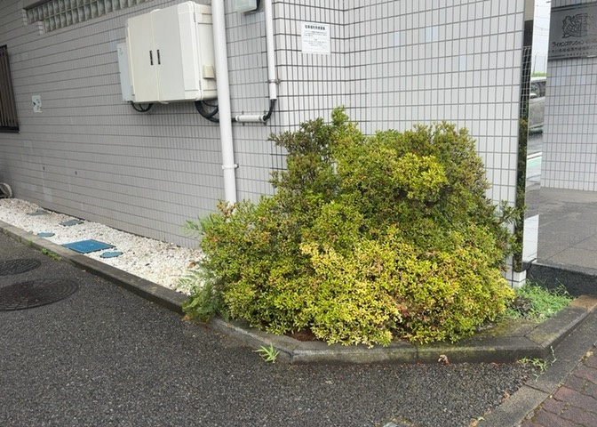 中庭（パティオ）とは、一つの建築物の内部に設けられた、壁などで囲われている庭のことを指します。コの字型、ロの字型が主流ですが、L字型の中庭もあります。最近では、インテリア性の高さからも人気があります。