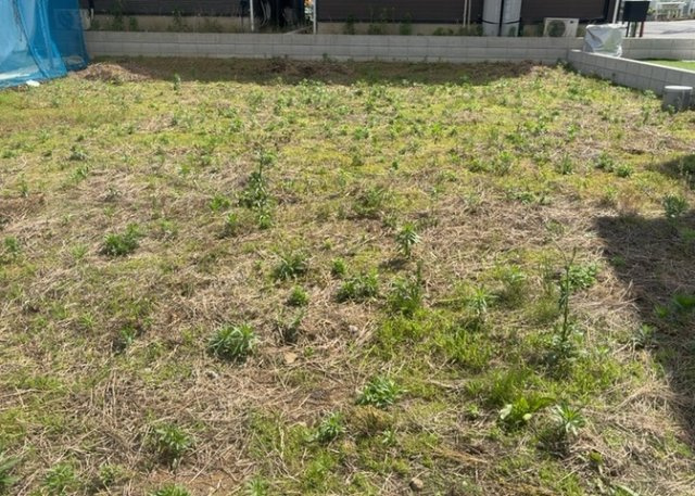 家を建てる前提で土地を探している場合、地盤の丈夫さは譲れない条件の一つです。地盤が脆弱だと追加工事が必要となります。また、過去に地盤沈下や液状化現象を起こした土地は、できるだけ避けた方がいいでしょう。
