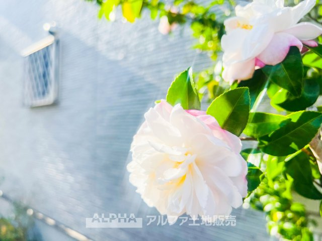 外観：313004820531