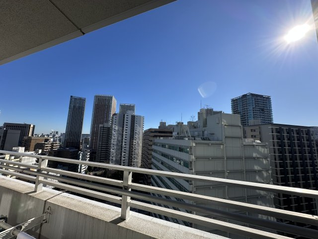 南東側バルコニーからの眺望