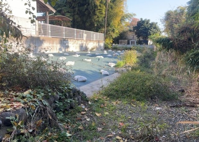土地を買う際、住む地域の自治体や福祉の補助制度にも注目してみましょう。子供や老人の医療補助やゴミ出しのルールなど、自治体によってルールに大きな違いがあるため、暮らしやすい土地で判断するとよいでしょう。