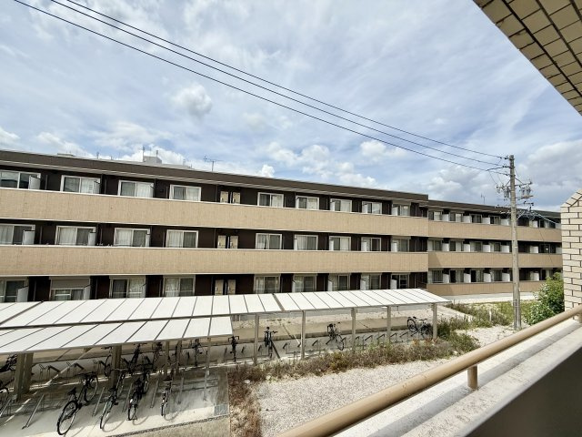 展望