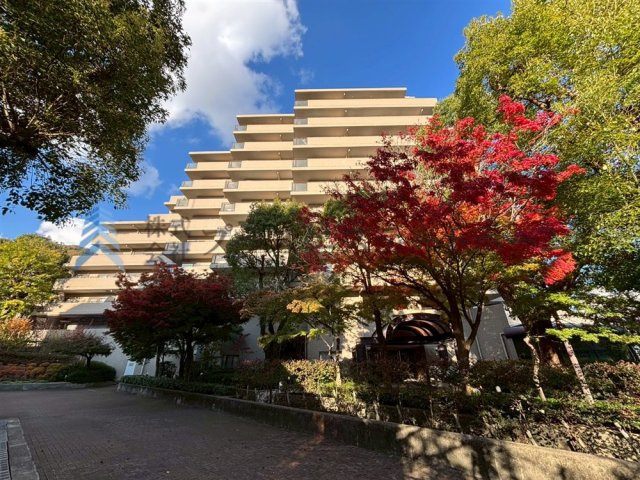 紅葉がマンションに綺麗に映えますね♪