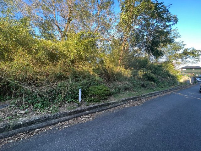 外観：325000119520