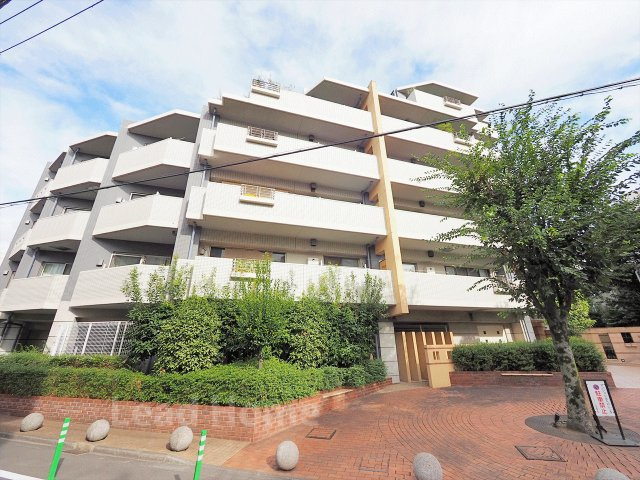 外観：313004672581