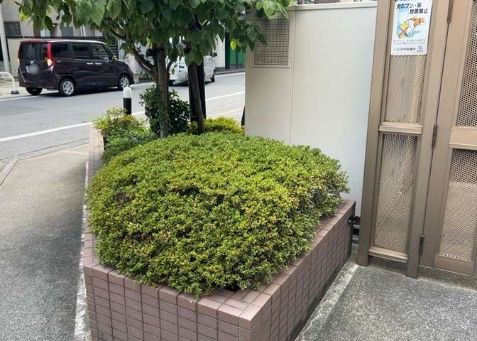 敷地内の植栽や緑豊かなスペースは綺麗に手入れされており、日々の暮らしに穏やかな潤いを与えてくれます。平坦地で歩きやすい周辺環境とともに、四季折々の自然を感じながら穏やかな生活が送れる住環境です。