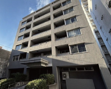 外観：313004659455