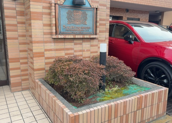 中庭（パティオ）とは、一つの建築物の内部に設けられた、壁などで囲われている庭のことを指します。コの字型、ロの字型が主流ですが、L字型の中庭もあります。最近では、インテリア性の高さからも人気があります。