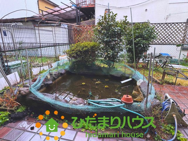 庭